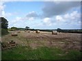 Bales off the Ridgeway in SA70 8LX