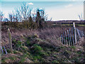 Fencing on edge of Farmland near Waltham Abbey, Essex in EN9 3PX