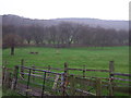 Farmland and woodland near Lazenby in TS6 8DX