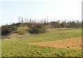 Embankment in IP20 9LW