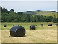 Silage bales in KY14 6EU
