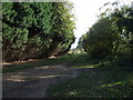 Track off Stowe Road, Langtoft in PE6 9RH
