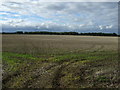 Farmland west of King Street Roman Road in PE6 9QX