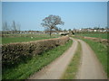 Looking Back towards Stanton from Bridle Lane in DE15 9SP