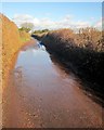 Puddle on Towsington Lane in EX6 8AY