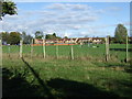 Playing field, Baston in PE6 9PF
