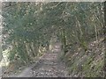 Bridleway near to the Afon Ceri in SA38 9NY