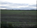 Farmland west of Mareham Lane in Helpringham & Osbournby Ward