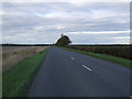 Mareham Lane heading north in Helpringham & Osbournby Ward