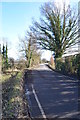 Churn Lane looking south east in TN12 8HL