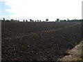 Ploughed field off Hermitage Lane in B78 1QS