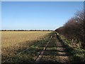 Farm track south of Thriplow in SG8 7RP