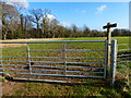 Bridleway crosses the last field to Screens Wood in Arundel & Walberton Ward