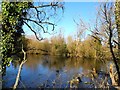 Pond at the roadside, Heath and Reach in LU7 0BL