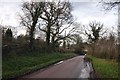 East Devon : Country Lane in EX5 4DT