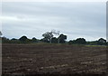 Farmland towards the West Coast Main Line in CV9 2EX