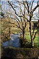 Looking up the river Mole from a bridge at Heasley Mill in EX36 3LA