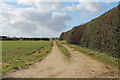 A farm track south of Saxlingham in NR24 2PH