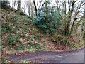 Former quarry in Cleeve Copse in TQ13 0AZ