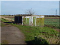 Bush in a shed, South Fen Road, Bourne in Bourne Austerby Ward