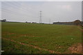 Pylons and farmland near Woodcote Green in DY10 4QX