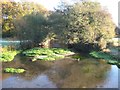 River Meon at Mislingford Bridge (1) in PO17 5AT