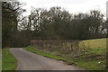 Dark Lane: hill, hedge, wood and road in Burwell