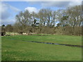 Flooded grazing towards woodland in Welwyn West Ward