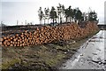 Timber stack at Boath in IV17 0XJ