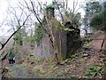 Adfail / Ruin (Ty Newydd?) in SA18 2AA