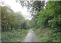 Lane south of Venges Brake in PL8 1JP
