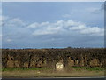 Milestone on Bourne Road, Langtoft in PE6 9LX