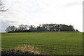 Deadmen's Graves: possible Long Barrow above Claxby St. Andrew in Claxby St. Andrew