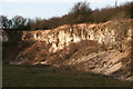 Mill Hill Quarry: Grassland Nature Reserve in Claxby St. Andrew
