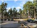 Car park, Birches Valley Forest Centre in WS15 2WG