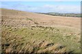 Rough grazing land near Penybont in LD1 5TB