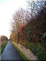 Path to Falmer Village in BN1 9PG