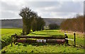 Patriotic jump on the gallops near Kingsclere, Hampshire in RG20 5QD
