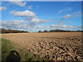 Pylons and farmland in between Polstead and Polstead Heath in CO6 5BQ
