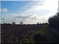Farmland in between Polstead and Polstead Heath in CO6 5BQ