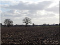 Farmland and Stoke by Nayland church in between Polstead and Polstead Heath in CO6 5BQ