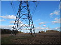 Bottom of big pylon (South of Polstead Heath) in CO6 5BQ