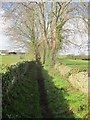Footpath to West End and Nursebatch Farm in BS48 4BY