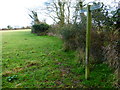 Footpath by field edge going south from Butterlees Farm in PO20 1LL