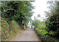 Un-named lane to the Journey's End Inn in TQ7 4HN