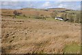 View to Moelfre Hill in Llanbister Community