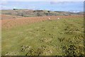 Upland grazing land near Crossways in Llanbister Community