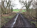Track that becomes footpath up to Hedley on the Hill in NE43 7QB