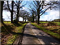 Looking west along lane towards sharp bend in GU34 3PD