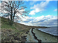 Shoreline at Tain in IV19 1PZ
